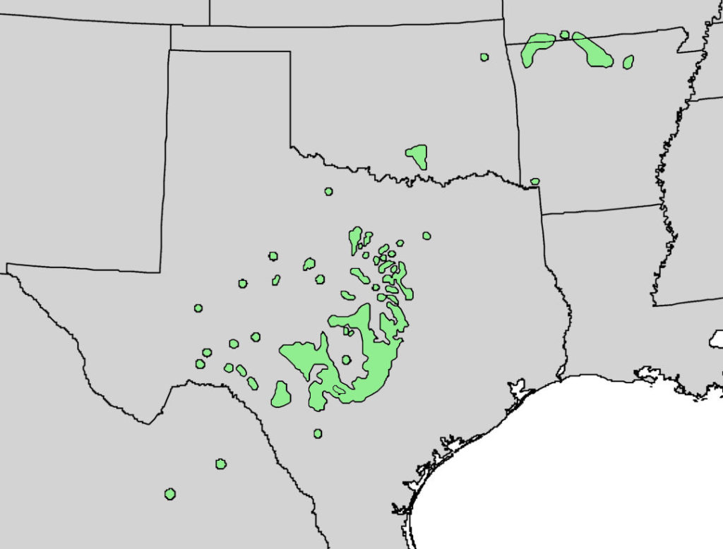 Public Domain map of the Juniperus ashei tree and the areas in the US that it is prevalent.