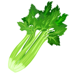 Celery